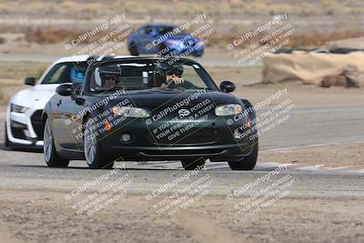 media/Nov-02-2025-Lotus Club of SoCal (Sun) [[dc384ab7f7]]/Novice Group/Cotton Corners/